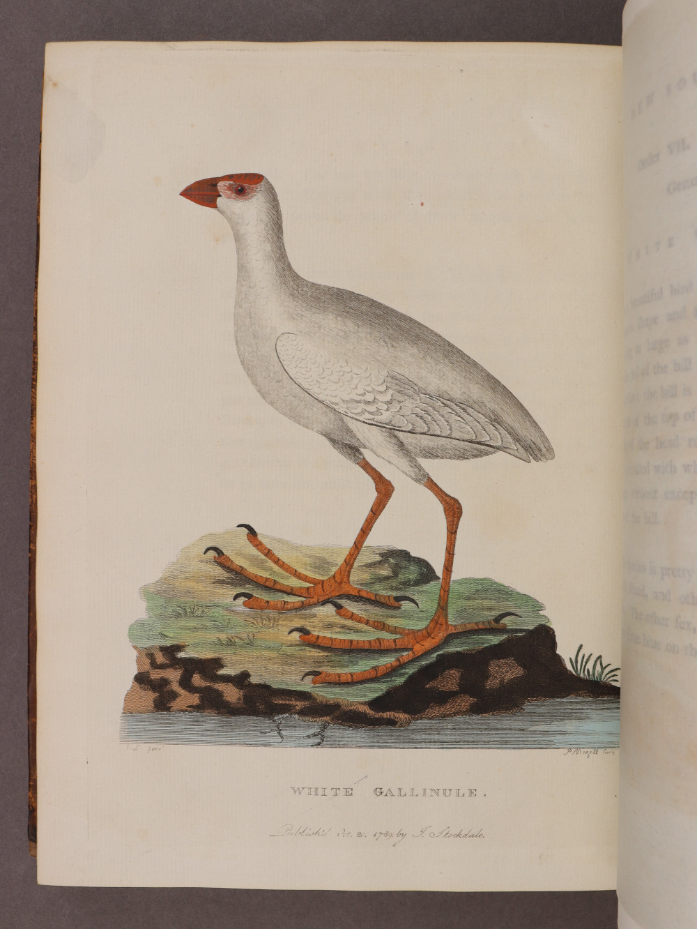 Plate 44